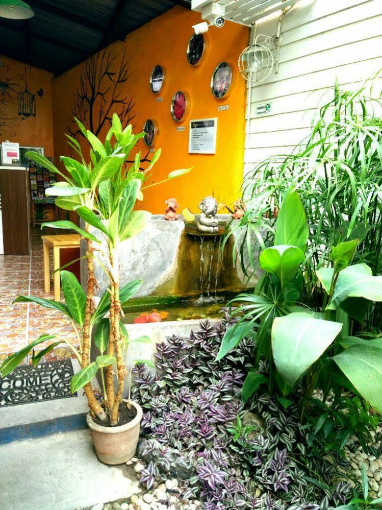 Yin Yang Guesthouse Чиангмай Экстерьер фото